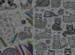 Coloriage chat : 50 dessins mignons et amusants à imprimer pour enfants et adultes amateurs de félins